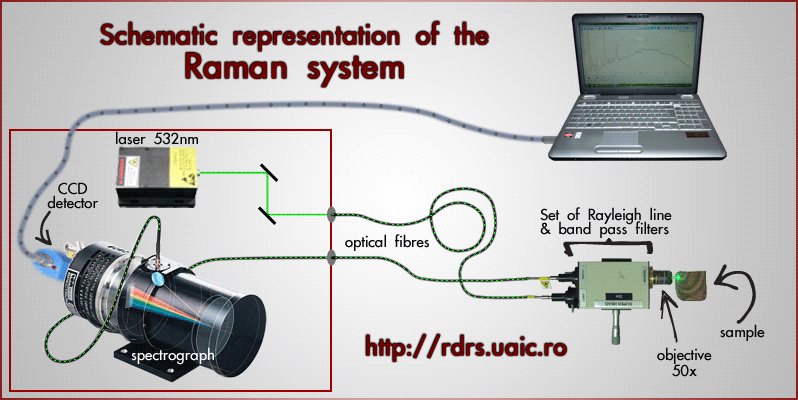 Raman system